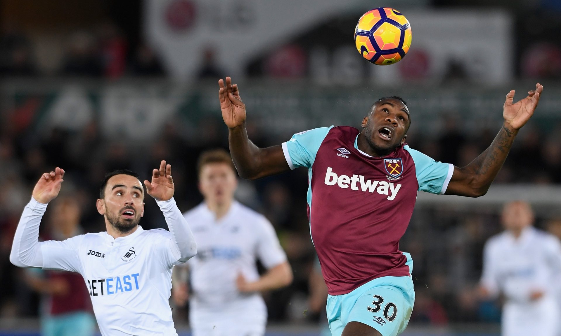 灵动迅捷 灵动迅捷